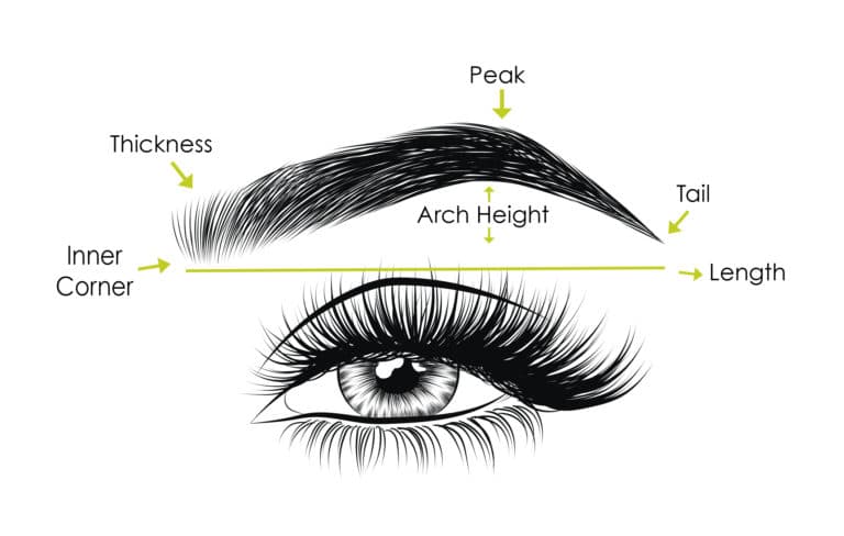 Eyebrow threading diagram guide